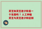 灵芝和灵芝孢子粉是一个东西吗 ？人工种植灵芝与灵芝孢子粉区别