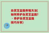 白灵芝盆栽养殖方法(如何养护白灵芝盆栽？ - 养护白灵芝盆栽技巧分享)