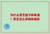 为什么灵芝孢子粉吸湿？灵芝怎么采摘和保存
