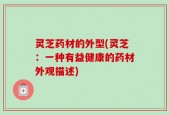 灵芝药材的外型(灵芝：一种有益健康的药材外观描述)