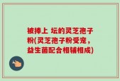 被捧上 坛的灵芝孢子粉(灵芝孢子粉受宠，益生菌配合相辅相成)