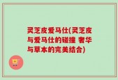灵芝皮爱马仕(灵芝皮与爱马仕的碰撞 奢华与草本的完美结合)