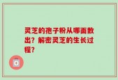 灵芝的孢子粉从哪面散出？解密灵芝的生长过程？