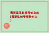 灵芝是生长哪种树上的(灵芝生长于哪种树上？