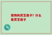 宠物狗灵芝孢子？什么是灵芝孢子