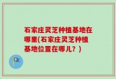 石家庄灵芝种植基地在哪里(石家庄灵芝种植基地位置在哪儿？)