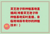 灵芝孢子粉种植基地直播间(观看灵芝孢子粉种植基地实时直播，亲临现场探寻奇妙的种植技术！)