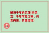 解说千年肉灵芝(肉灵芝：千年罕见之物，药食两用，价值倍增)