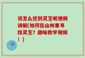 该怎么挖到灵芝呢视频讲解(如何在山林里寻找灵芝？趣味教学视频！)