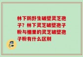 林下防野生破壁灵芝孢子？林下灵芝破壁孢子粉与棚里的灵芝破壁孢子粉有什么区别