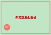 赤灵芝怎么生长