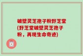 破壁灵芝孢子粉野芝堂(野芝堂破壁灵芝孢子粉，再现生命奇迹)