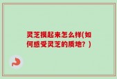 灵芝摸起来怎么样(如何感受灵芝的质地？)