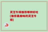 灵芝牛排推荐哪种好吃(推荐最美味的灵芝牛排)