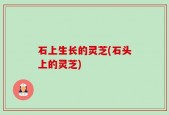 石上生长的灵芝(石头上的灵芝)