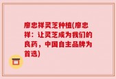 廖忠祥灵芝种植(廖忠祥：让灵芝成为我们的良药，中国自主品牌为首选)