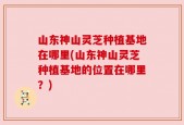 山东神山灵芝种植基地在哪里(山东神山灵芝种植基地的位置在哪里？)