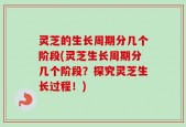 灵芝的生长周期分几个阶段(灵芝生长周期分几个阶段？探究灵芝生长过程！)