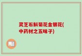 灵芝石斛菊花金银花(中药材之五味子)