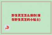 野生灵芝怎么保存(保存野生灵芝的小贴士)