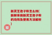 新灵芝孢子粉怎么样(新鲜采摘新灵芝孢子粉的功效及使用方法解析)