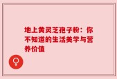 地上黄灵芝孢子粉：你不知道的生活美学与营养价值