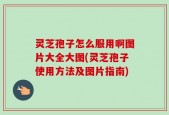 灵芝孢子怎么服用啊图片大全大图(灵芝孢子使用方法及图片指南)