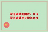 灵芝破壁的图片？大汉灵芝破壁孢子粉怎么样