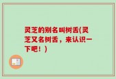 灵芝的别名叫树舌(灵芝又名树舌，来认识一下吧！)