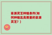 豪源灵芝种植条件(如何种植出高质量的豪源灵芝？)