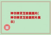 神华牌灵芝胶囊图片(神华牌灵芝胶囊照片展示)
