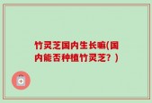 竹灵芝国内生长嘛(国内能否种植竹灵芝？)
