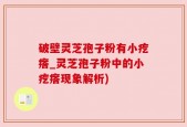 破壁灵芝孢子粉有小疙瘩_灵芝孢子粉中的小疙瘩现象解析)