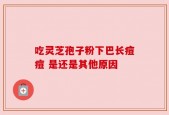 吃灵芝孢子粉下巴长痘痘 是还是其他原因