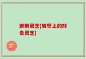 岩前灵芝(岩壁上的珍贵灵芝)