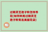 过期灵芝孢子粉怎样养花(如何利用过期灵芝孢子粉育出美丽花朵)