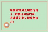 峨眉道地灵芝破壁芝孢子 (峨眉山采摘的灵芝破壁芝孢子提高免疫力)
