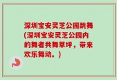 深圳宝安灵芝公园跳舞(深圳宝安灵芝公园内的舞者共舞草坪，带来欢乐舞动。)