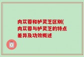 肉苁蓉和栌灵芝区别(肉苁蓉与栌灵芝的特点差异及功效概述