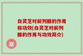 白灵芝对前列腺的作用和功效(白灵芝对前列腺的作用与功效简介)