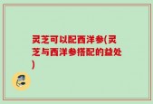 灵芝可以配西洋参(灵芝与西洋参搭配的益处)