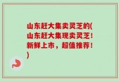 山东赶大集卖灵芝的(山东赶大集现卖灵芝！新鲜上市，超值推荐！)