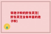 带孢子粉的野生灵芝(野生灵芝含有丰富的孢子粉)