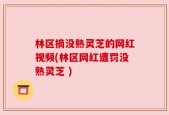 林区摘没熟灵芝的网红视频(林区网红遭罚没熟灵芝 )