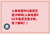 人参皂苷Rh2是灵芝孢子粉吗(人参皂苷Rh2不是灵芝孢子粉，你了解吗？)