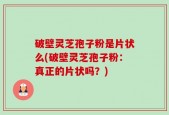破壁灵芝孢子粉是片状么(破壁灵芝孢子粉：真正的片状吗？)