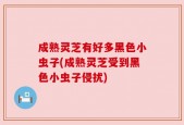 成熟灵芝有好多黑色小虫子(成熟灵芝受到黑色小虫子侵扰)