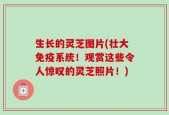 生长的灵芝图片(壮大免疫系统！观赏这些令人惊叹的灵芝照片！)