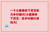 一个小菌棒林下灵芝助力乡村振兴(小菌棒林下灵芝：给乡村振兴添动力)