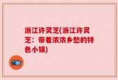 浙江许灵芝(浙江许灵芝：带着浓浓乡愁的特色小镇)